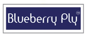blueberry Ply